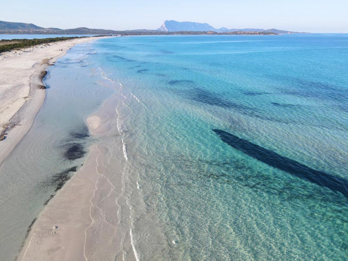Iss Travel, Citai Panoramic Apartments - 1,5 Km From The Beach San Teodoro  Exteriör bild