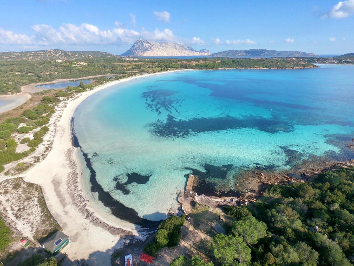 Iss Travel, Citai Panoramic Apartments - 1,5 Km From The Beach San Teodoro  Exteriör bild